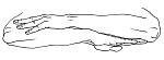 Tranquility Mudra